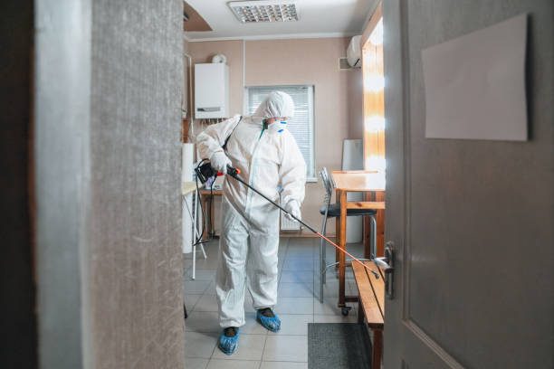 Best Forensic Mold Investigation  in Manton, MI