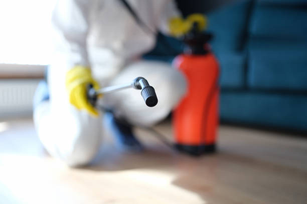 Forensic Mold Investigation in Manton, MI